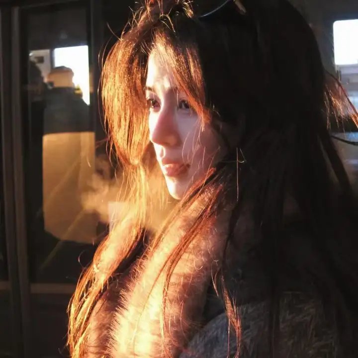 小夜莺