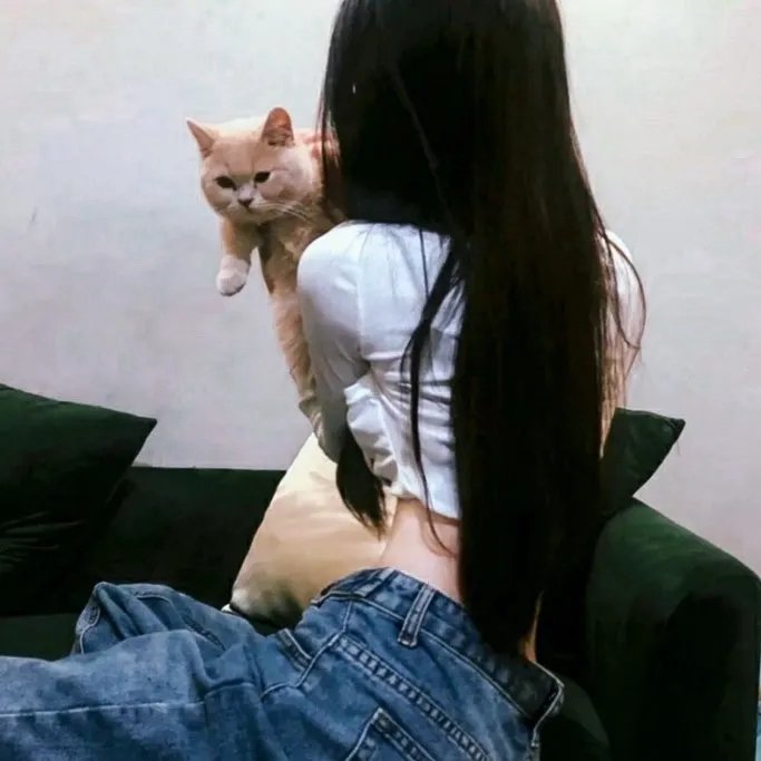 查克拉